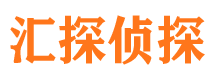 汉南市侦探公司